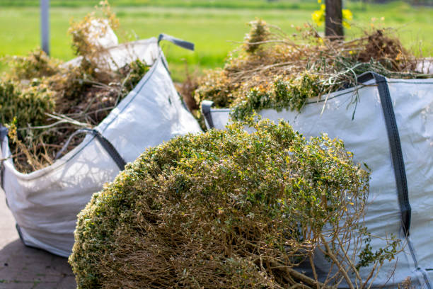 Basement Cleanout Services in Wollochet, WA